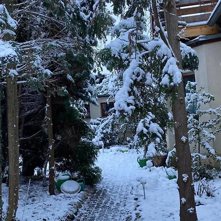 Im Gruenen Haus Cara 90 Qm 4 Zi Kue Bad Daire *