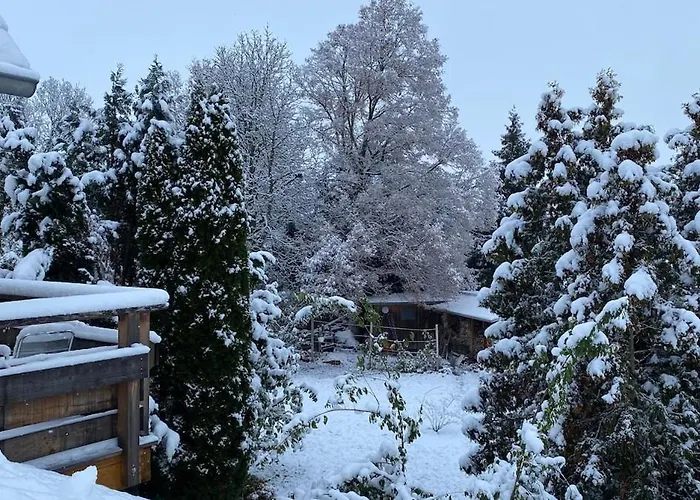 Im Gruenen Haus Cara 90 Qm 4 Zi Kue Bad
