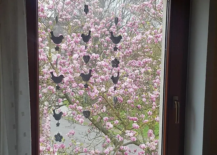 Im Gruenen Haus Cara 90 Qm 4 Zi Kue Bad Apartament Schkeuditz